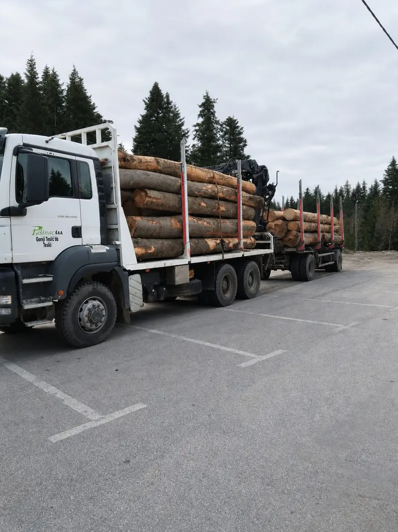 Pašinac logging truck and trailer carrying logs against a forest backdrop