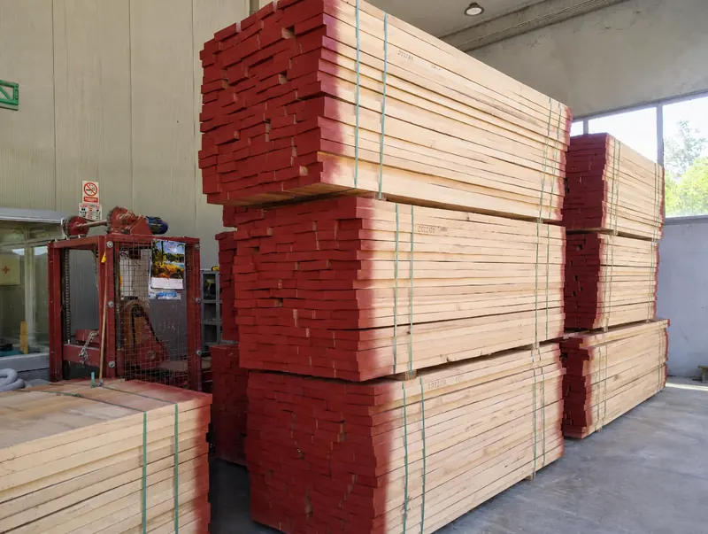 Banded stacks of sawn boards with red end sealing stored inside the hall