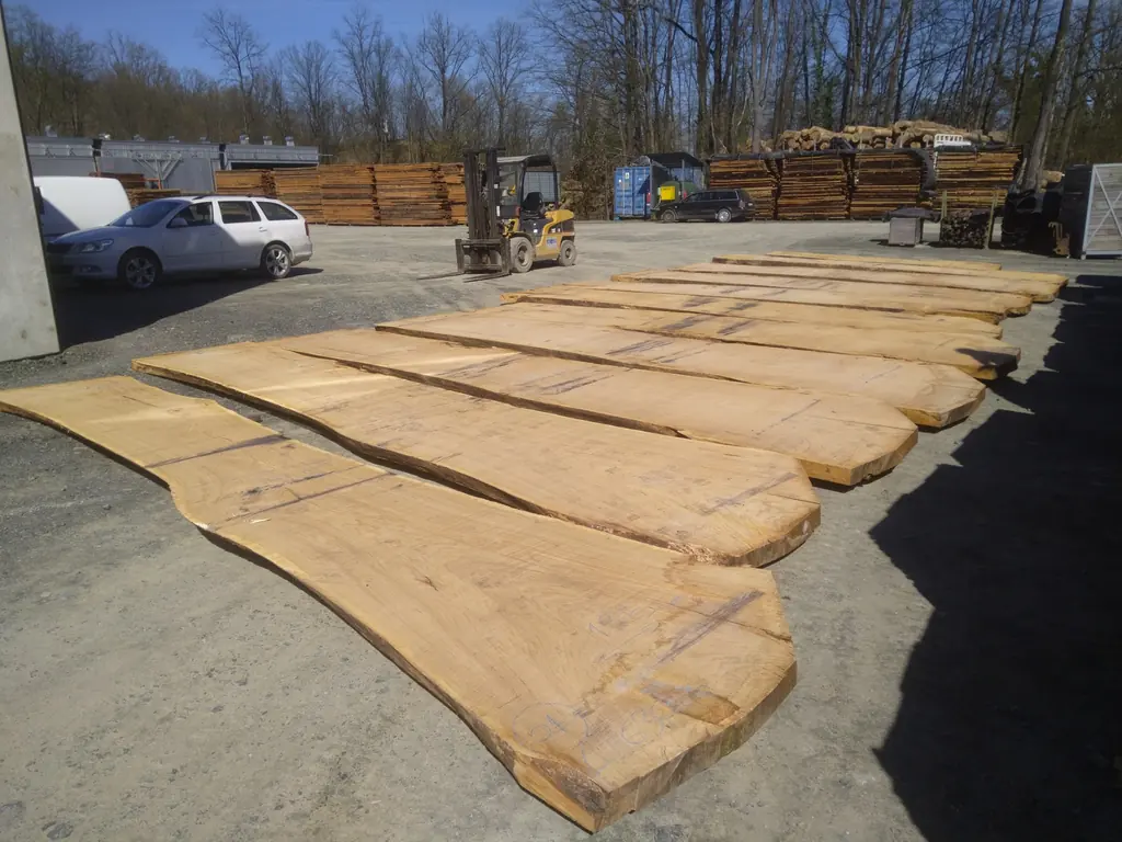 Wide live-edge oak slabs laid out in the yard at the Pašinac plant in Teslić
